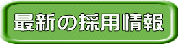 最新の採用情報